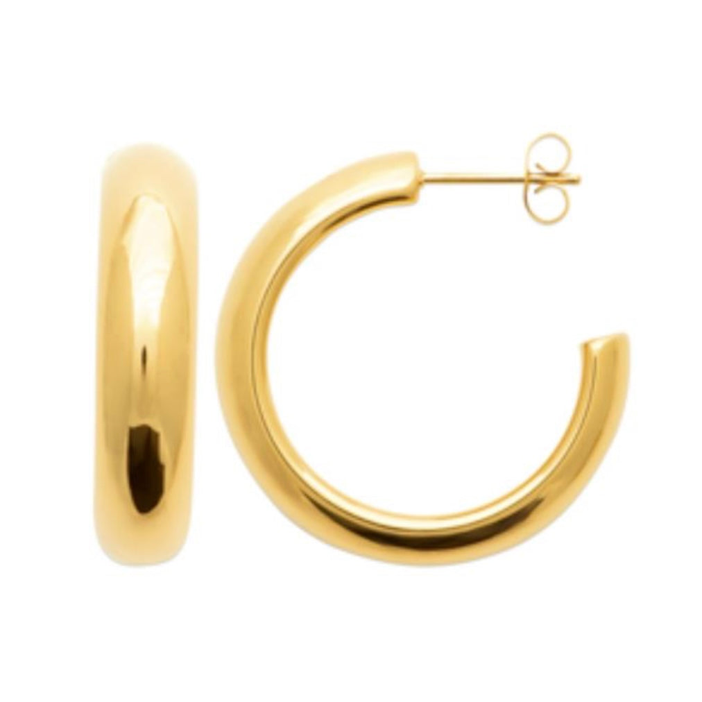 Muse earrings