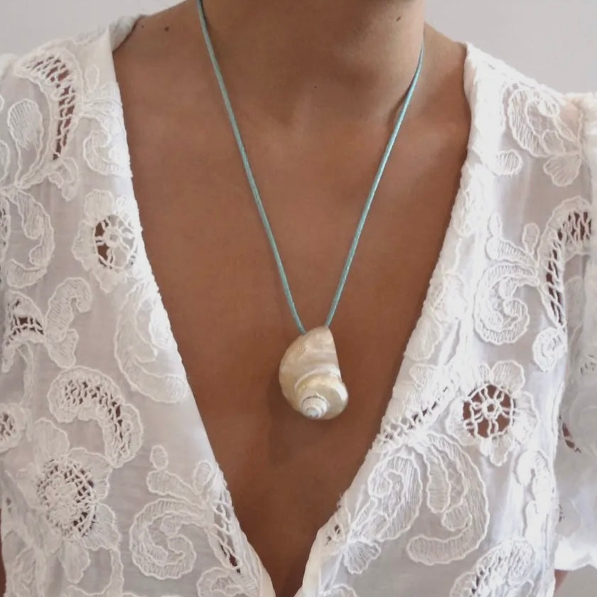 Seta shell