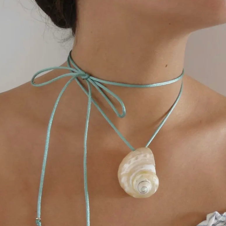Seta shell