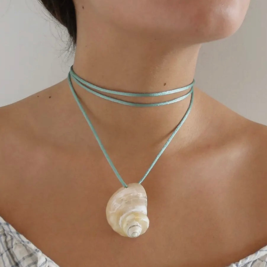 Seta shell