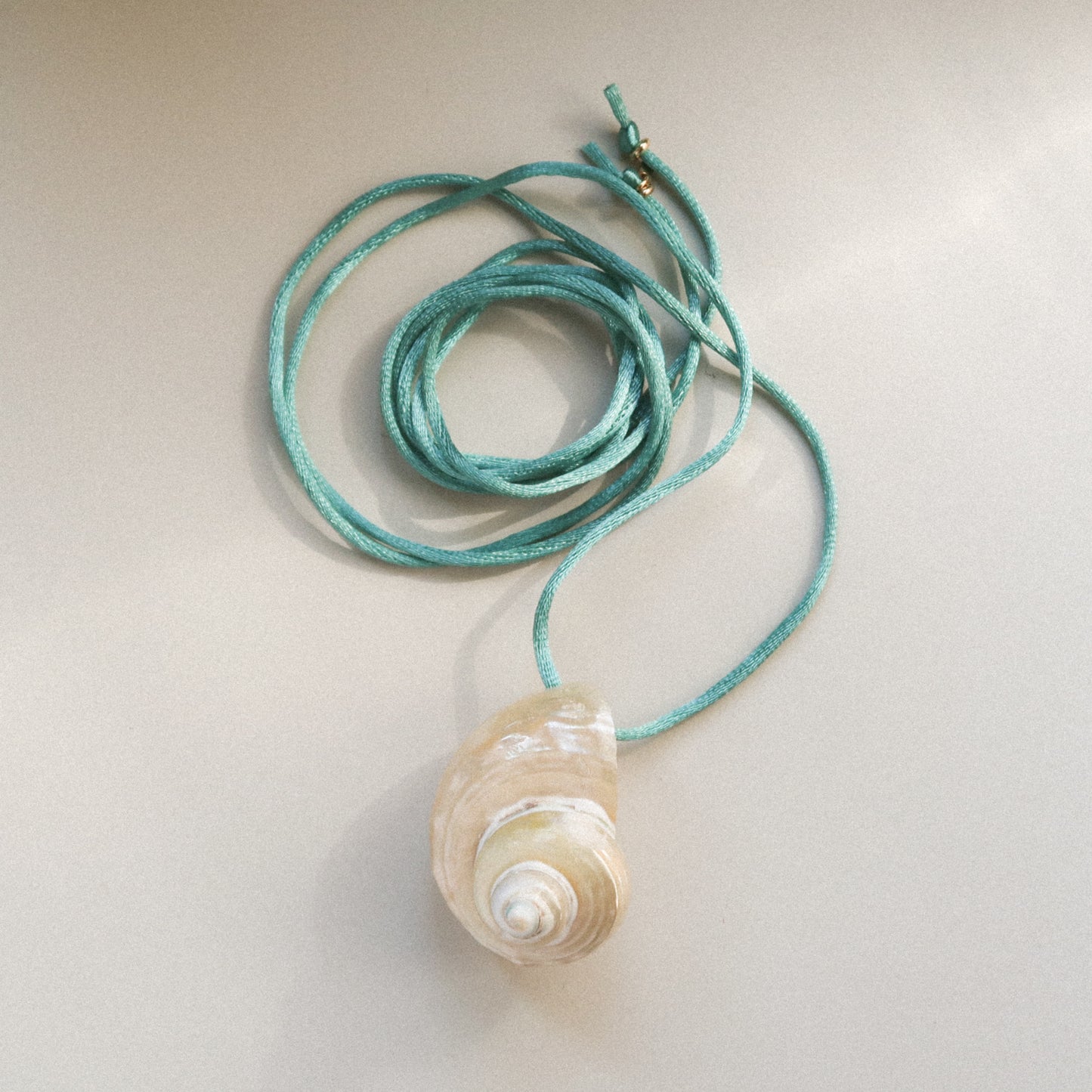 Seta shell