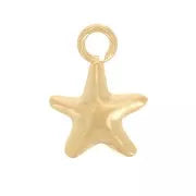 Mini star charm